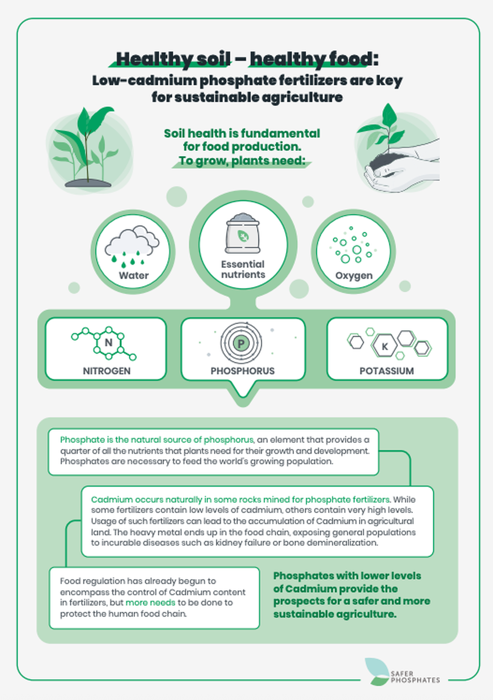 Healthy soil – healthy food